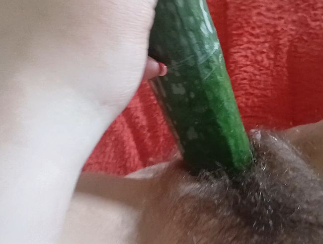 Pelzige Pussy mit einer Gurke ficken [Hanna-Chick]